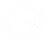 телефон 84959984243